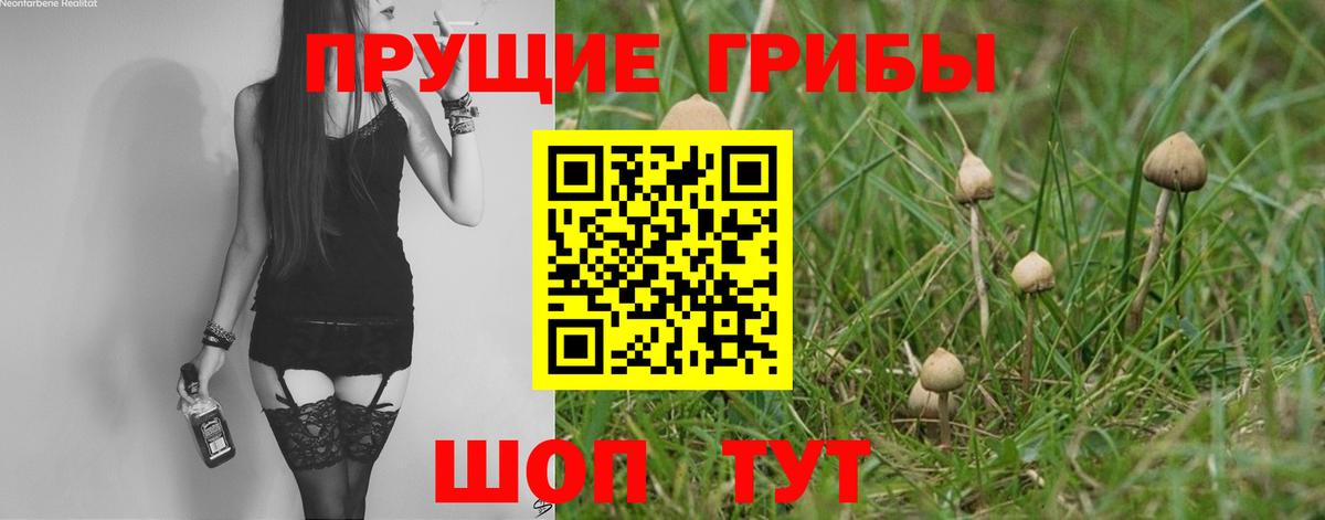 Псилоцибиновые грибы прущие грибы Можайск