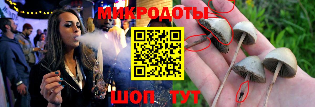 Галлюциногенные грибы Magic Shrooms  Галлюциногенные грибы MAGIC MUSHROOMS  Можайск  Вход с VPN 